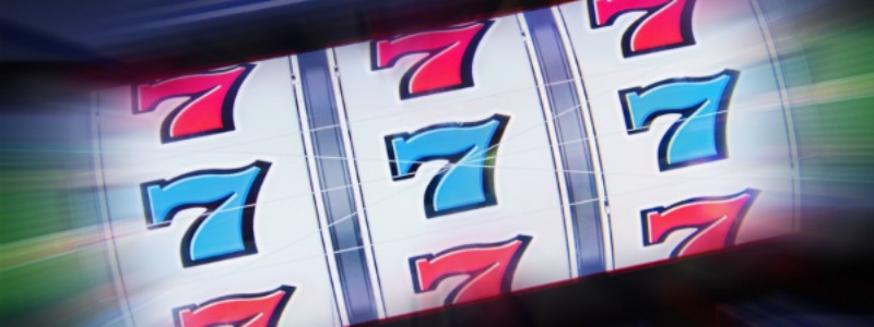 winner