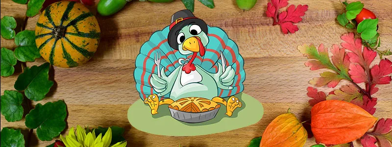turkey