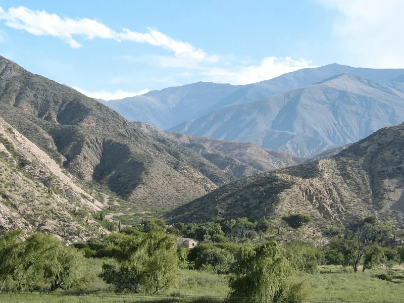 Huilo Huilo Lodge wilderness