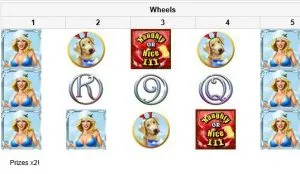 rtg video slot