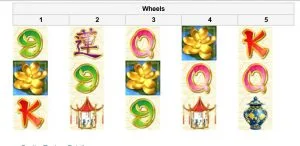 rtg video slot winning galore