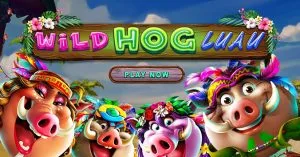 wild hog luau online slot