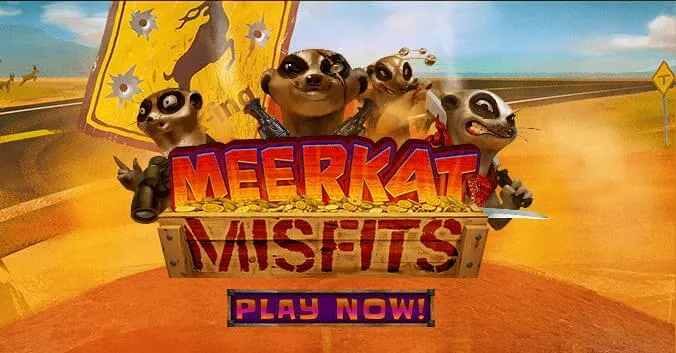 MeerkatMisfit