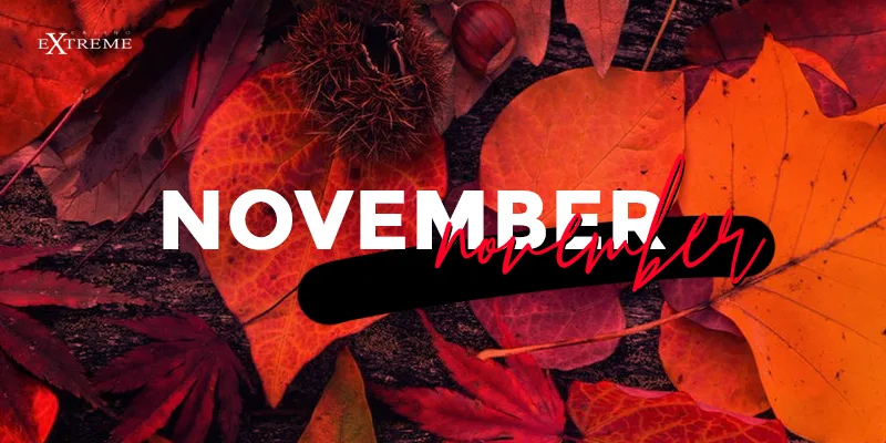 November 2021 at Casino Extreme