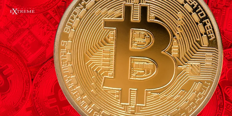 Bitcoin coin