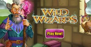 wild wizards