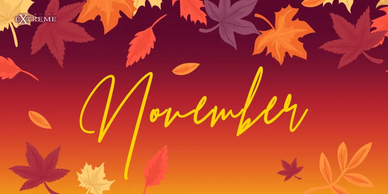 November 2022