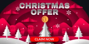 xmas special promo cta 