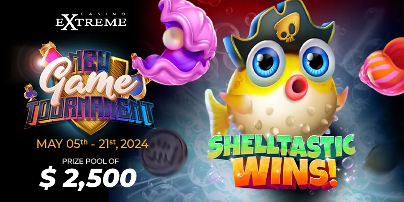 Shelltastic Wins