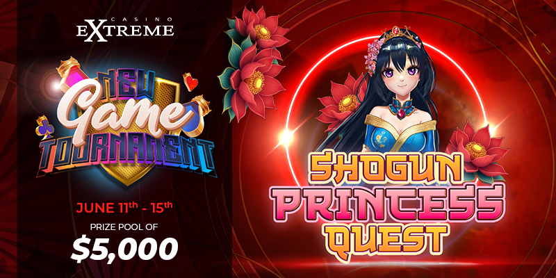 Shogun Princess Quest